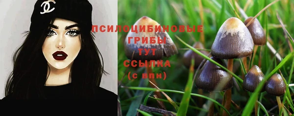 бошки Абинск