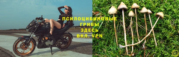 бошки Абинск