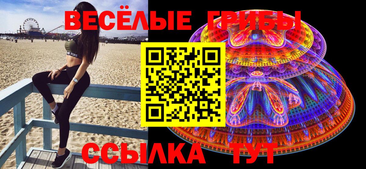 Нальчик  Псилоцибиновые грибы прущие грибы  Псилоцибиновые грибы Cubensis  Вход с VPN 